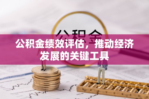 都安公积金绩效评估，推动经济发展的关键工具