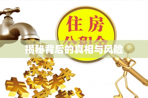 都安揭秘背后的真相与风险