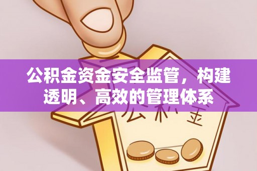 都安公积金资金安全监管，构建透明、高效的管理体系