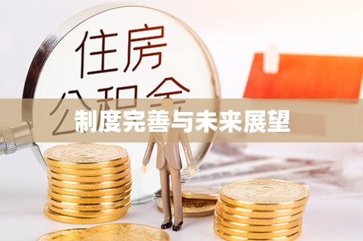 都安制度完善与未来展望