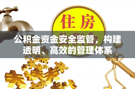 都安公积金资金安全监管，构建透明、高效的管理体系