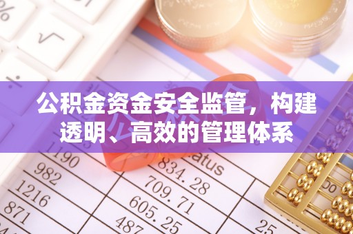 都安公积金资金安全监管，构建透明、高效的管理体系