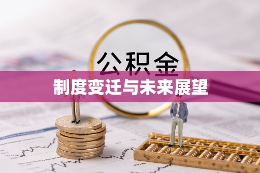 都安制度变迁与未来展望
