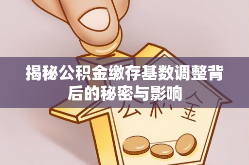 都安揭秘公积金缴存基数调整背后的秘密与影响