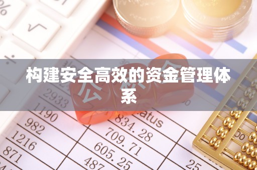都安构建安全高效的资金管理体系