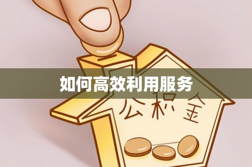 都安如何高效利用服务