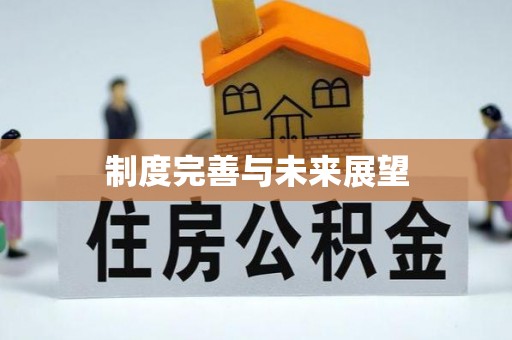 都安制度完善与未来展望