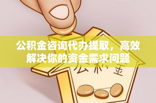 都安公积金咨询代办提取，高效解决你的资金需求问题