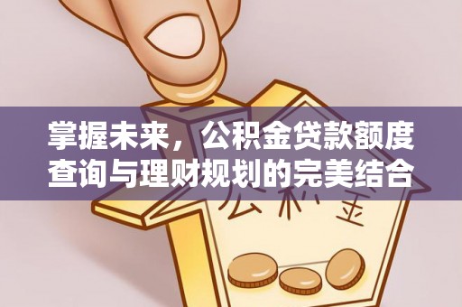 都安掌握未来，公积金贷款额度查询与理财规划的完美结合