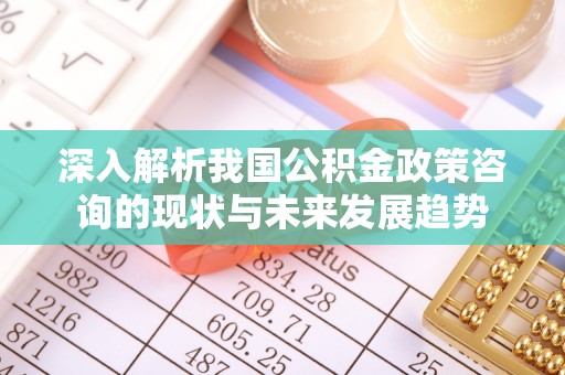 都安深入解析我国公积金政策咨询的现状与未来发展趋势