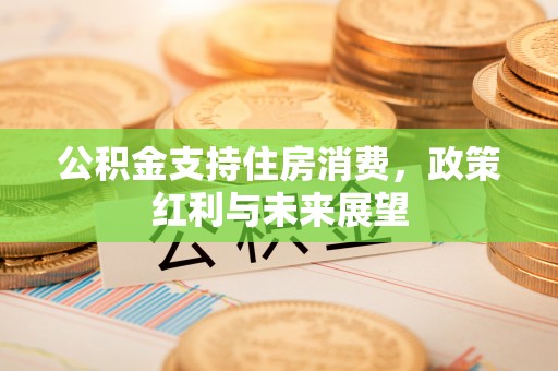 都安公积金支持住房消费，政策红利与未来展望