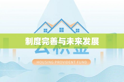 都安制度完善与未来发展