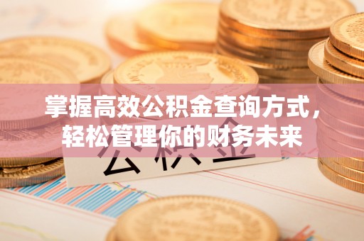 都安掌握高效公积金查询方式，轻松管理你的财务未来