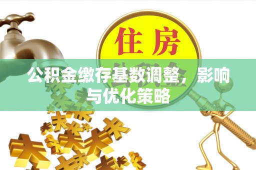都安公积金缴存基数调整，影响与优化策略