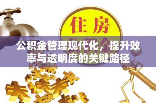 都安公积金管理现代化，提升效率与透明度的关键路径