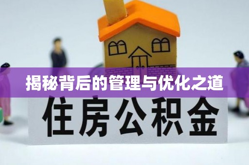 都安揭秘背后的管理与优化之道