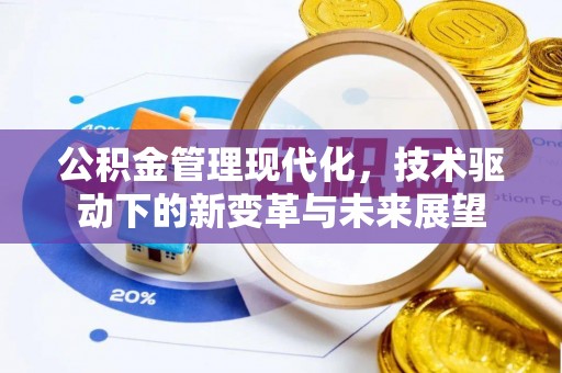 都安公积金管理现代化，技术驱动下的新变革与未来展望