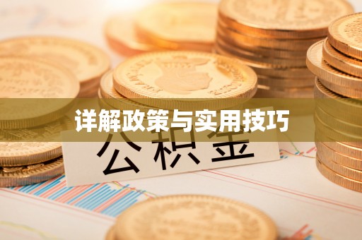 都安详解政策与实用技巧