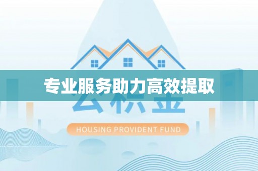 都安专业服务助力高效提取
