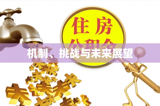都安机制、挑战与未来展望