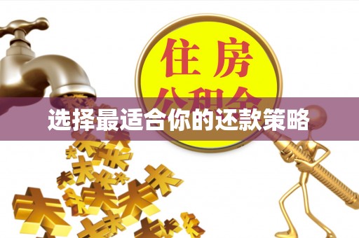 都安选择最适合你的还款策略