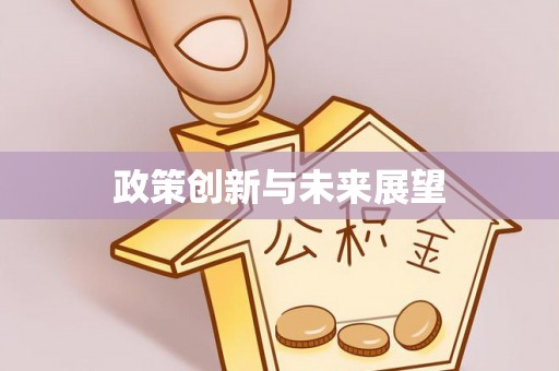 都安政策创新与未来展望