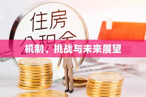 都安机制、挑战与未来展望