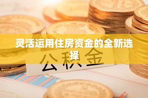 都安灵活运用住房资金的全新选择